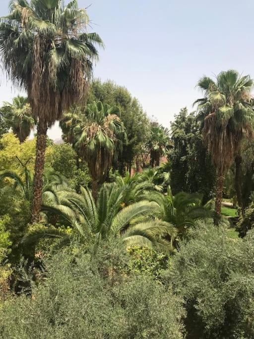 فيلة Lalla Fatima- Touristique Al Qaria Assiyahia- Services All-inconciergerie مراكش